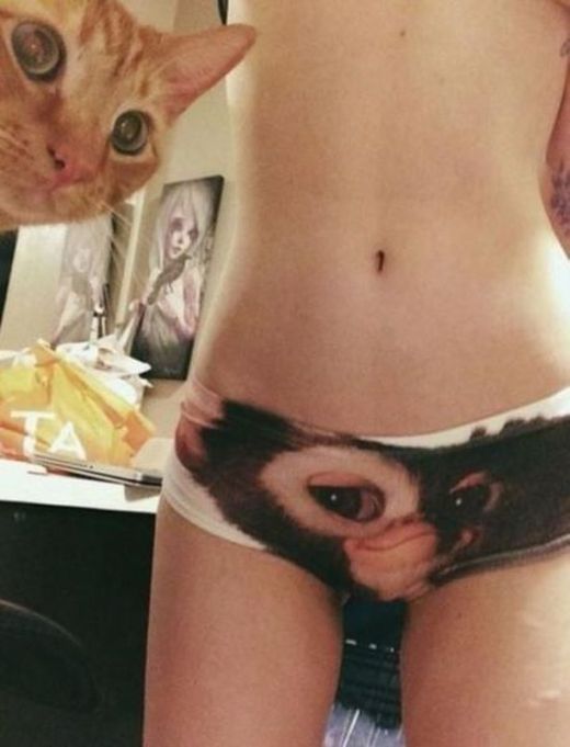 Забавные картинки