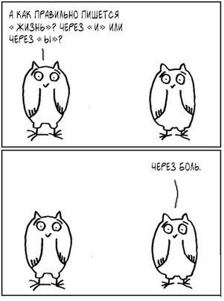 Забавные картинки