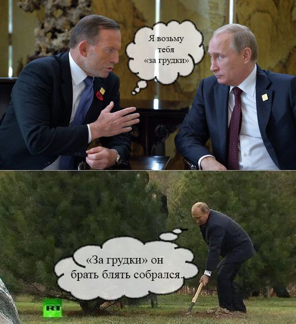 Забавные картинки