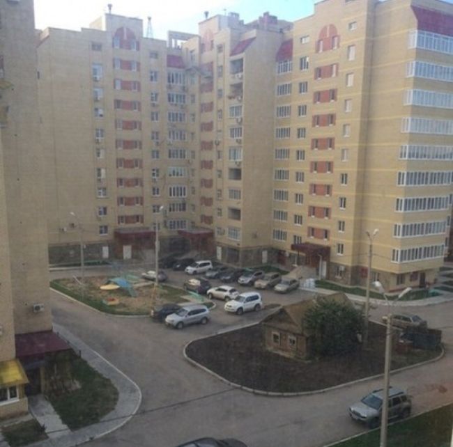 Забавные картинки