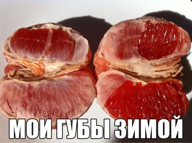 Забавные картинки