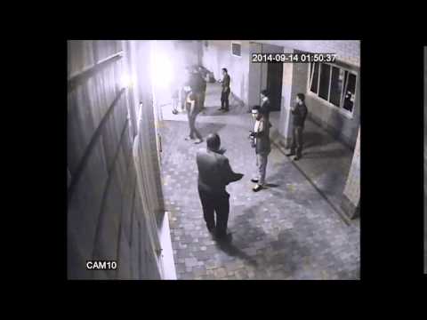 Бах! Бах!! Бах!!!