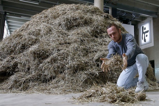 Итальянский художник два дня искал иголку в стоге сена