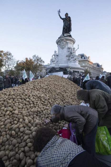  Невостребованный Россией картофель разбросан по Парижу и яблоки по Варшаве