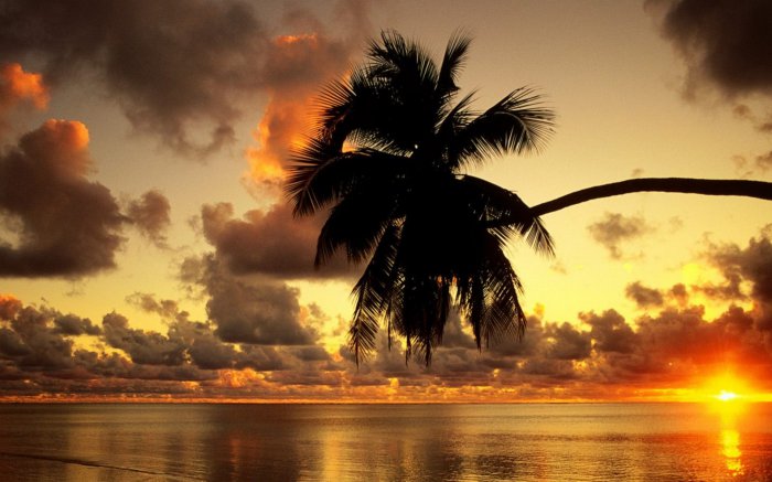 Обои на рабочий стол / Wallpapers. HQ. Mix 684