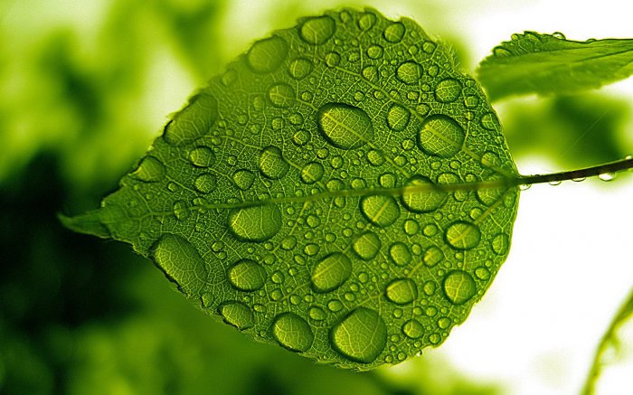 Обои на рабочий стол / Wallpapers. HQ. Mix 684