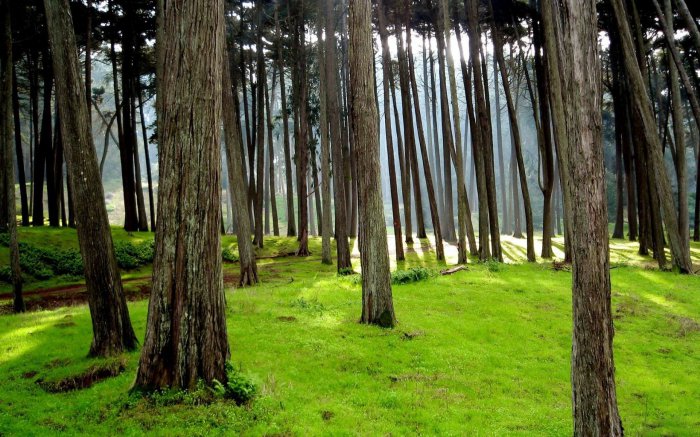 Обои на рабочий стол / Wallpapers. HQ. Mix 684