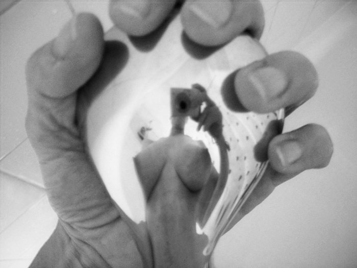 Девушки бывают разные