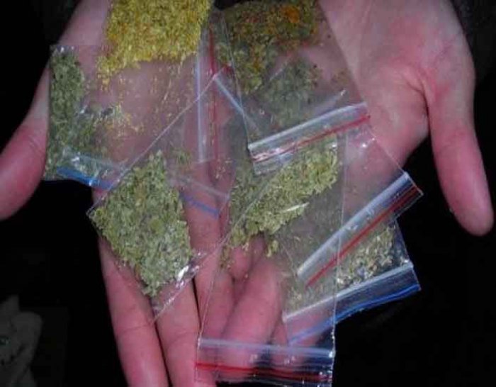 Дети, спайс и биомусор