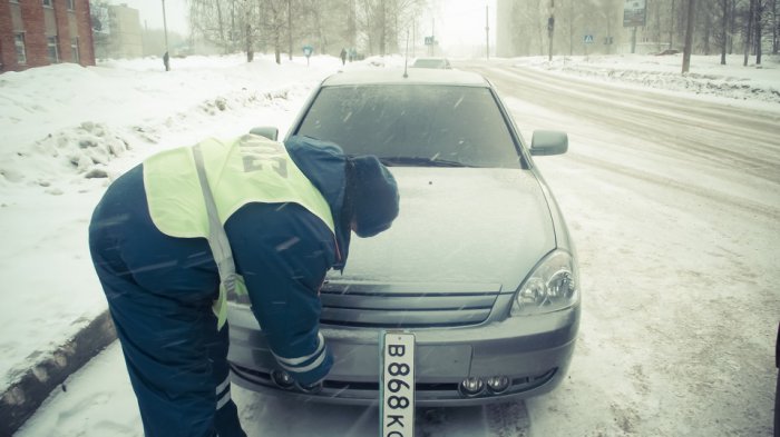 Россияне массово тонируют стекла автомобилей