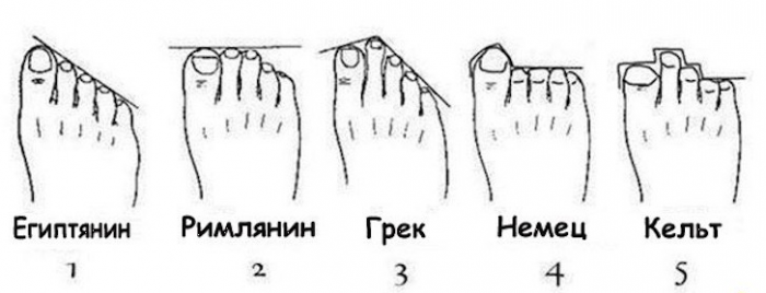 А ты кельт или не кельт?