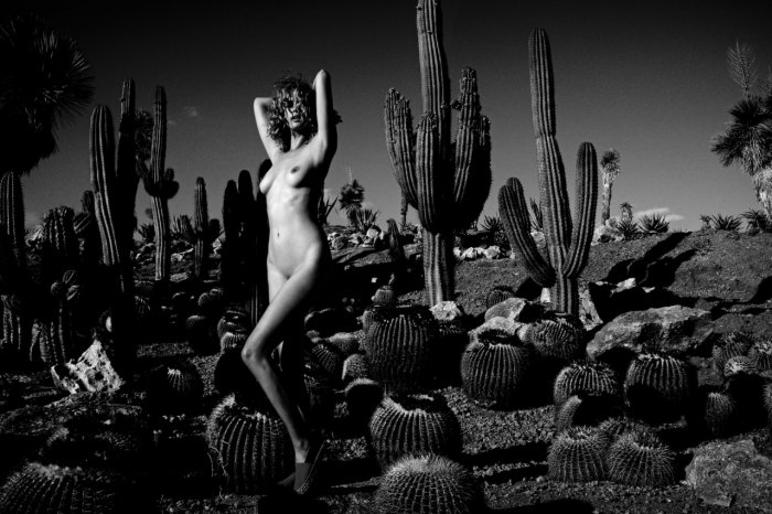 Девушки бывают разные