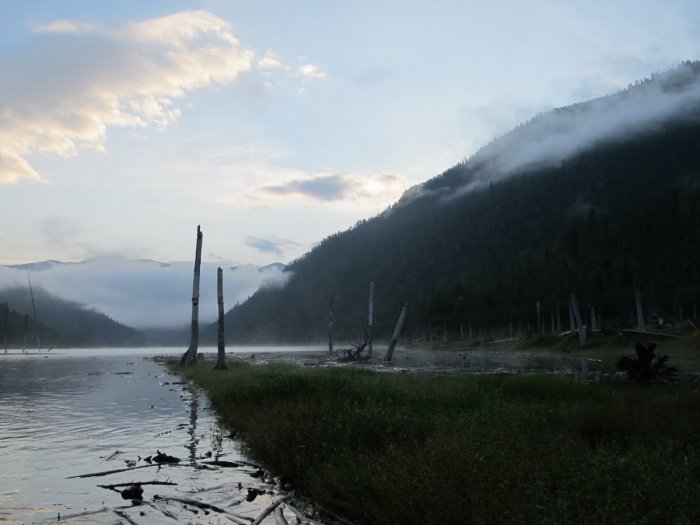 Лето, тайга...