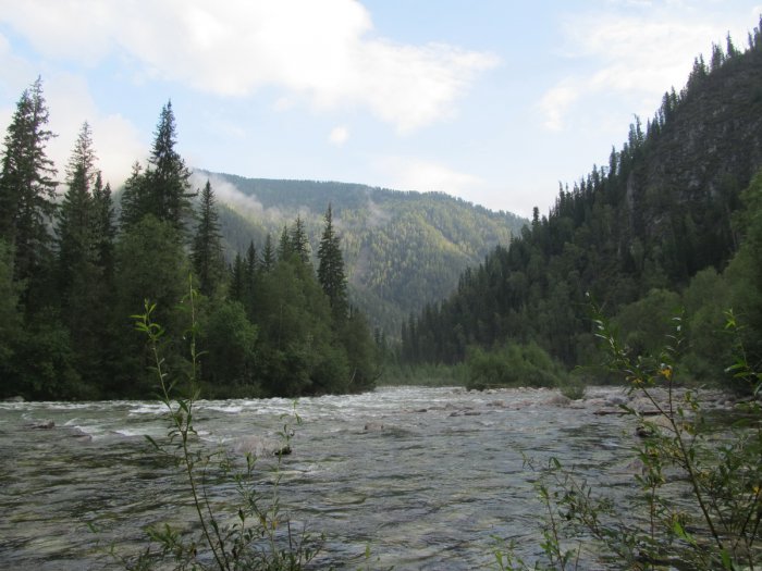 Лето, тайга...