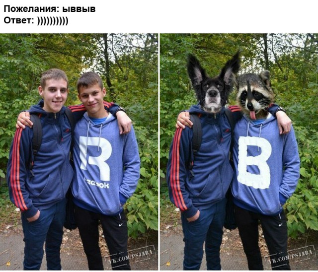 Попросили отфотошопить...