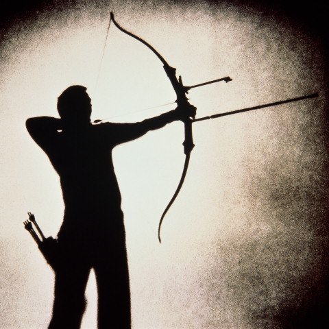 Литовских лучников хотят включить в состав Вооруженных сил страны Литовских лучников хотят включить в состав Вооруженных сил страны