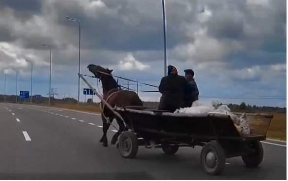 Подборка - Внезапные телеги или нашествие скакунов Подборка - Внезапные телеги или нашествие скакунов