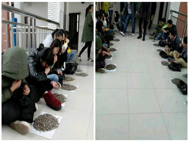 Наказал шелухой