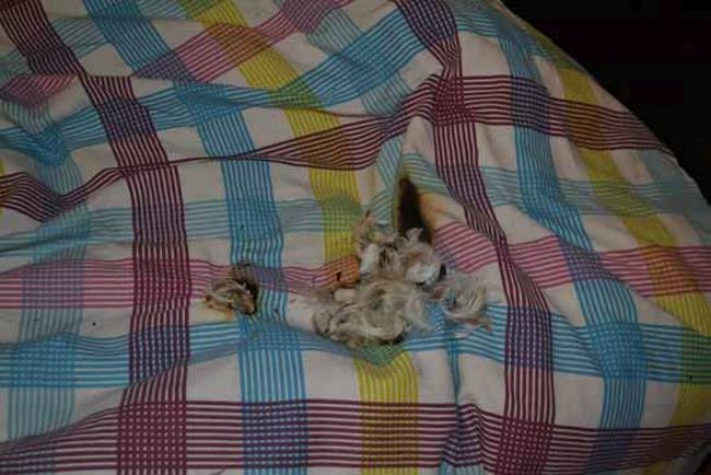 Самсунг рванул