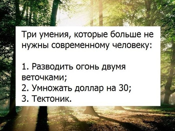 Забавные картинки