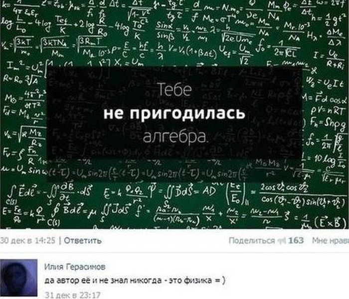 Забавные картинки