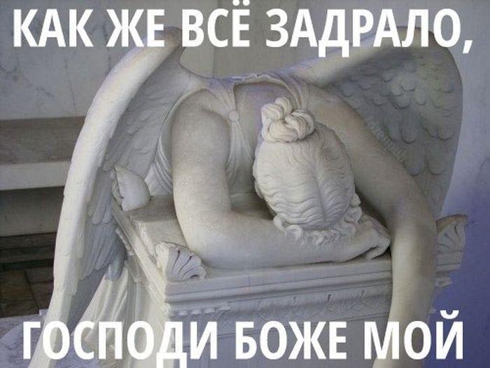 Забавные картинки