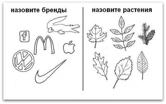 Забавные картинки