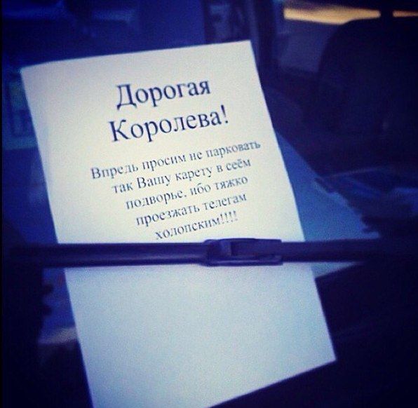 Забавные картинки