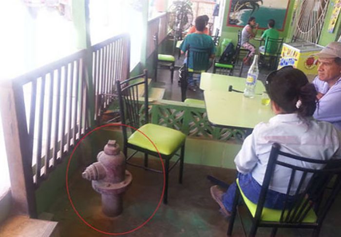 Забавные картинки