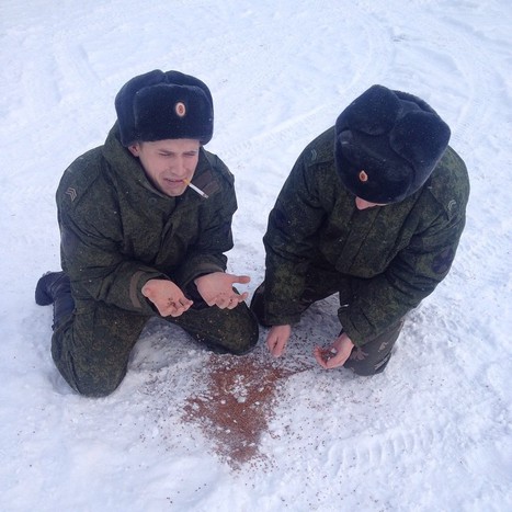 #гречка захватила Инстаграм