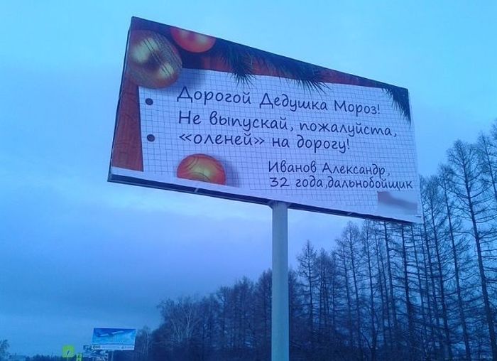 Забавные картинки