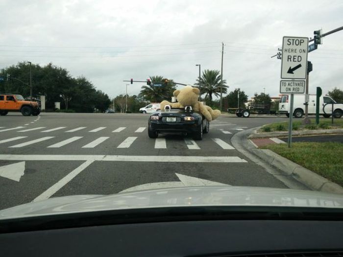 Забавные картинки