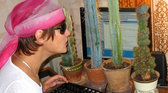 Забавные картинки