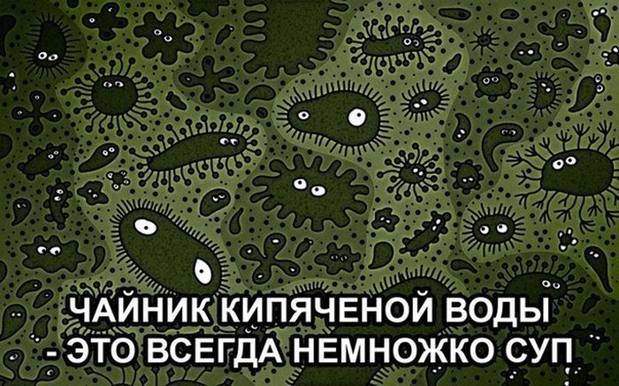 Забавные картинки