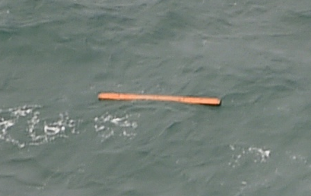 Обнаружены обломки пропавшего авиалайнера AirAsia и тела погибших пассажиров