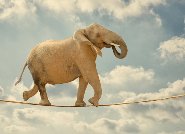 Канули в вечность: 25 явлений, вещей и людей, которые навсегда остались в 2014 году