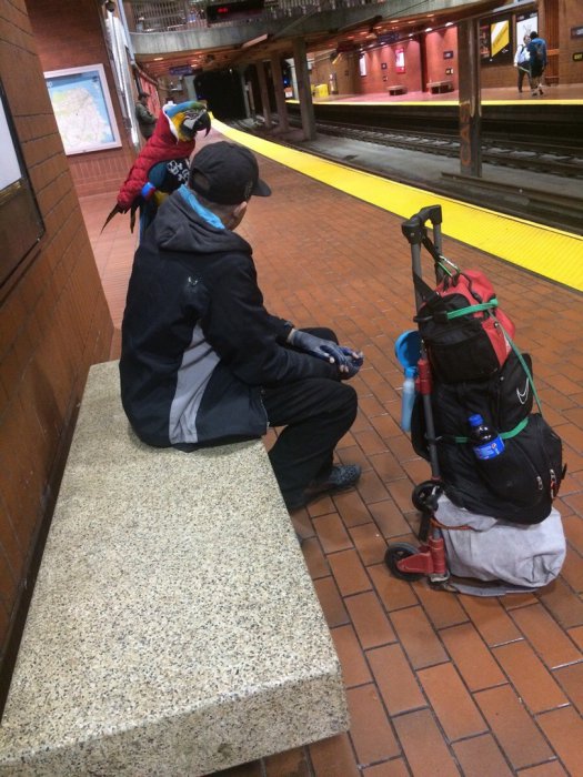 Забавные картинки