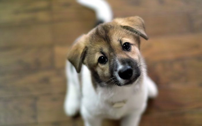 Обои на рабочий стол / HD Wallpapers Pack 192