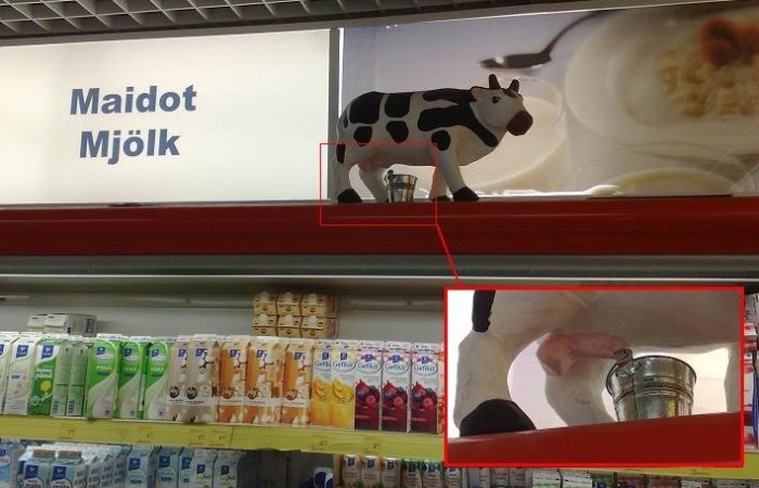 Забавные картинки