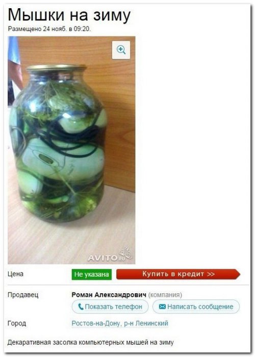 Забавные картинки