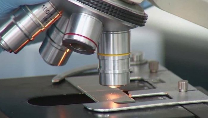 Британские ученые выяснили, что им нельзя верить