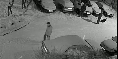 Добрый сосед почистил от снега машины