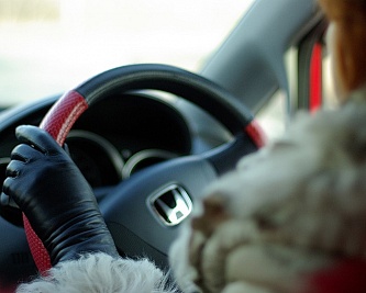 Автоледи открыто призналась в нелюбви к "пешикам"