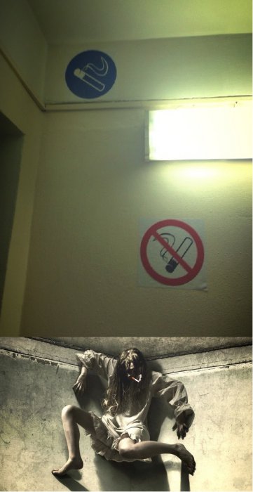 Забавные картинки