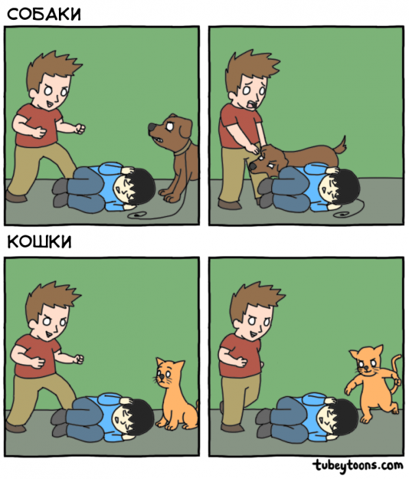 Забавные картинки