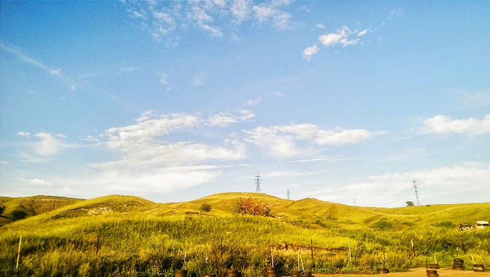 Фотографии с телефона (68 фото)