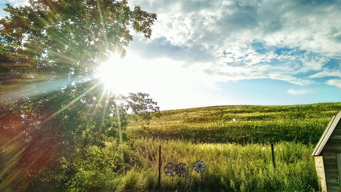 Фотографии с телефона (68 фото)