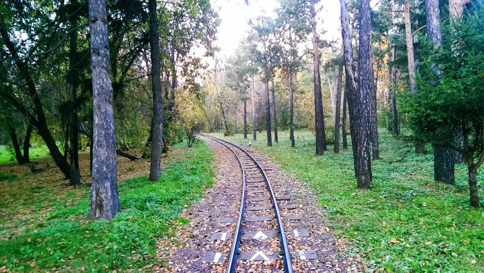 Фотографии с телефона (68 фото)