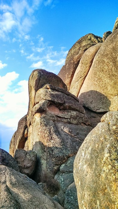 Фотографии с телефона (68 фото)