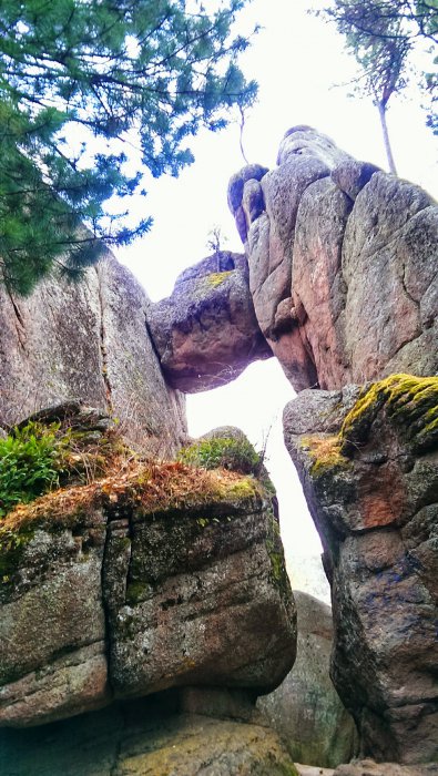 Фотографии с телефона (68 фото)